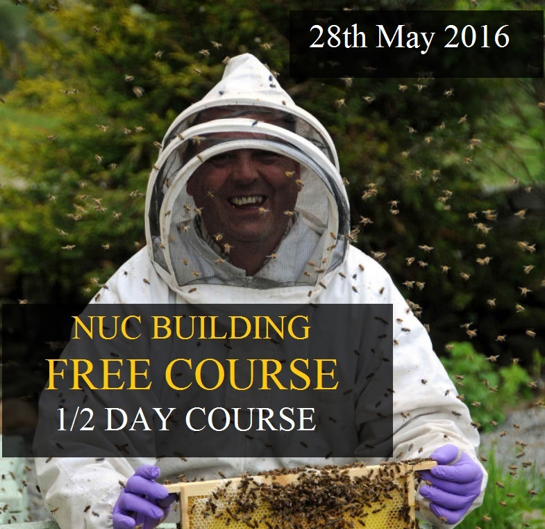 Beekeeping Courses