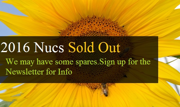 order packages bee and nucs 2016